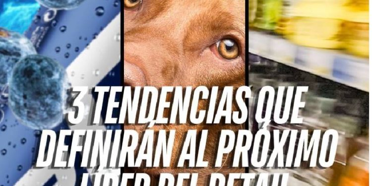 El próximo líder del retail se está jugando en la cancha de hoy