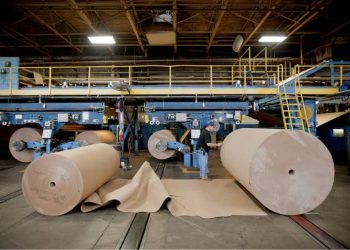 Cómo el gigante brasileño del papel expande su imperio