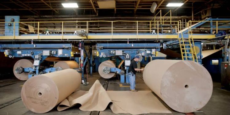 Cómo el gigante brasileño del papel expande su imperio