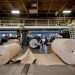Cómo el gigante brasileño del papel expande su imperio