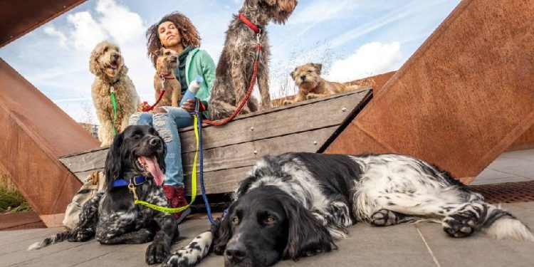 Tenencia responsable y salud animal en el día del perro sin raza