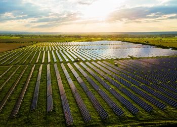 Soluciones energéticas en la agroindustria peruana paneles solares sostenibilidad