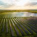 Soluciones energéticas en la agroindustria peruana paneles solares sostenibilidad
