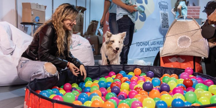 Expopet 2025, una década de amor animal