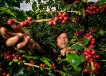 Agro colombiano en mayo de 2025, récord histórico de exportaciones