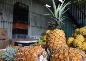 abastecimiento de alimentos