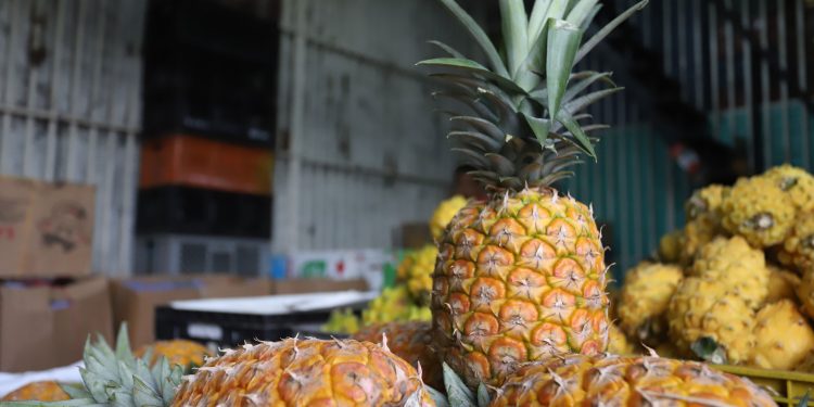 abastecimiento de alimentos