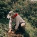 Starbucks fortalece el café colombiano con reforestación sostenible