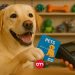 Banco Popular lanza tarjeta exclusiva para quienes priorizan a sus mascotas