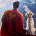 Una alianza entre el cine y la adopción animal conmueve al público mexicano