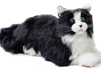 MetaCats, los gatos robóticos que ofrecen consuelo emocional en Australia