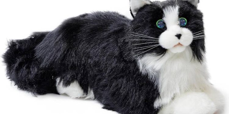 MetaCats, los gatos robóticos que ofrecen consuelo emocional en Australia