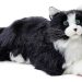 MetaCats, los gatos robóticos que ofrecen consuelo emocional en Australia