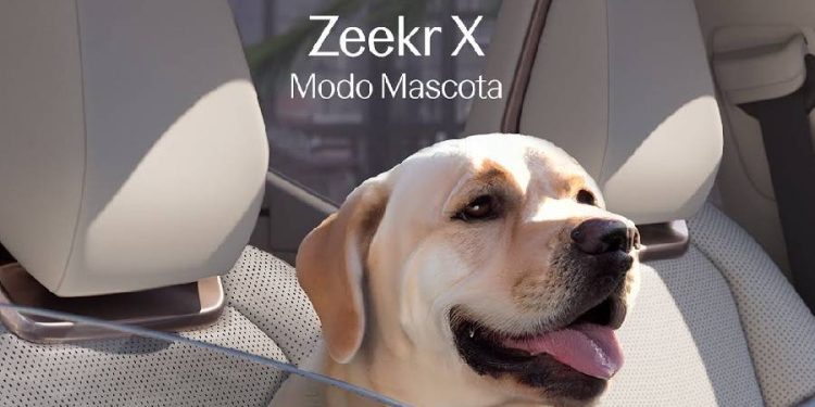 Zeekr X integra el cuidado animal como parte esencial del diseño automotriz