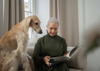 Reale lanza en España una plataforma integral para personas y mascotas
