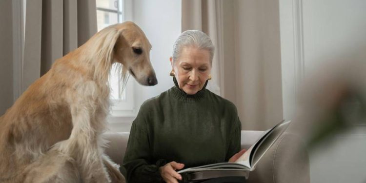 Reale lanza en España una plataforma integral para personas y mascotas