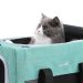 Cómo elegir el mejor transportín para viajar con tu mascota este verano