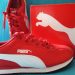 Puma en números rojos impactantes