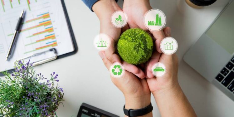 Green retail: El futuro sostenible del comercio físico