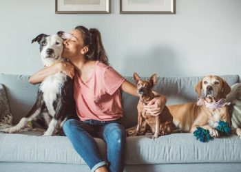 Mascotas en España: El nuevo gasto familiar de 125€ al mes