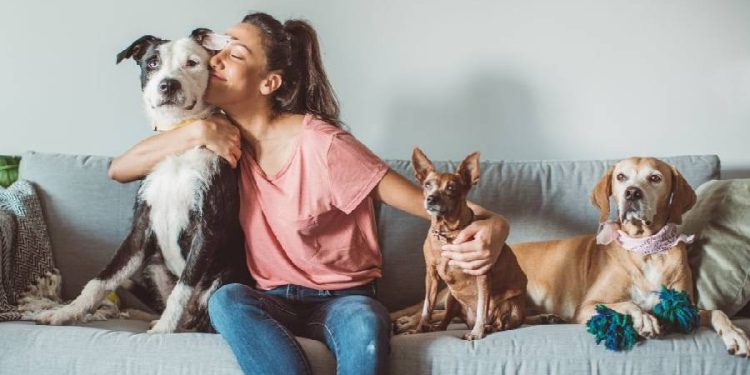 Mascotas en España: El nuevo gasto familiar de 125€ al mes