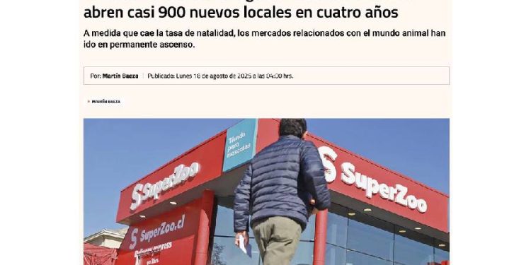 Chile: el mercado de mascotas en evolución y sus jugadas de poder