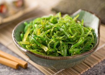 Algas kelp: El superalimento marino que mejora la salud intestinal de las mascotas