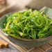 Algas kelp: El superalimento marino que mejora la salud intestinal de las mascotas