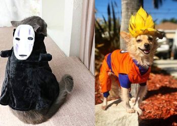 Animangaki 2025 sorprende con concurso de cosplay para mascotas en Malasia