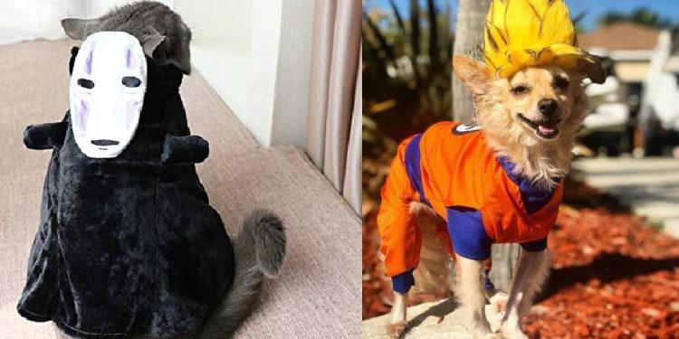 Animangaki 2025 sorprende con concurso de cosplay para mascotas en Malasia