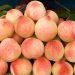 El mercado de tierras en durazno muestra precios agrícolas firmes en 2025