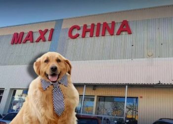 Maxi China amplía su oferta con productos para mascotas en Nuevo León