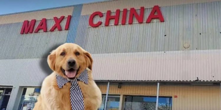 Maxi China amplía su oferta con productos para mascotas en Nuevo León