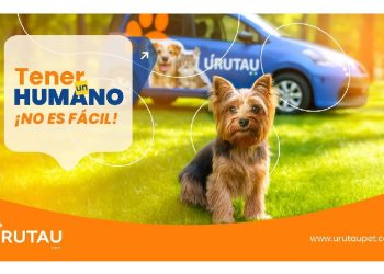 Paraguay estrena su primer servicio profesional de transporte de mascotas