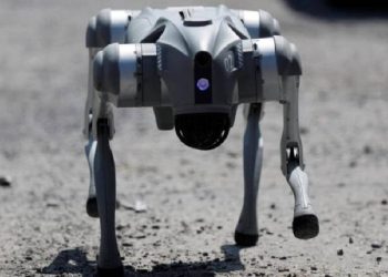 Waldog el perro robot que busca erradicar el maltrato animal en Nuevo León
