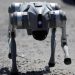 Waldog el perro robot que busca erradicar el maltrato animal en Nuevo León