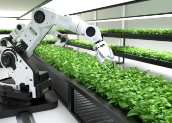 Revolución robótica en la agricultura española: eficiencia, empleo y sostenibilidad
