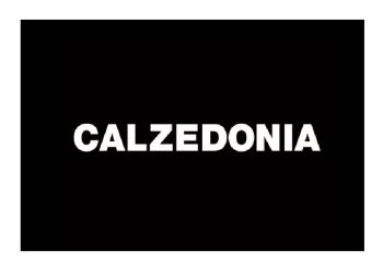 calzedonia