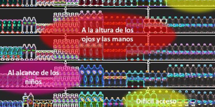 CATMAN: Cómo segmentar una categoría