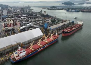 La geopolítica de los granos, la apuesta de China en Brasil