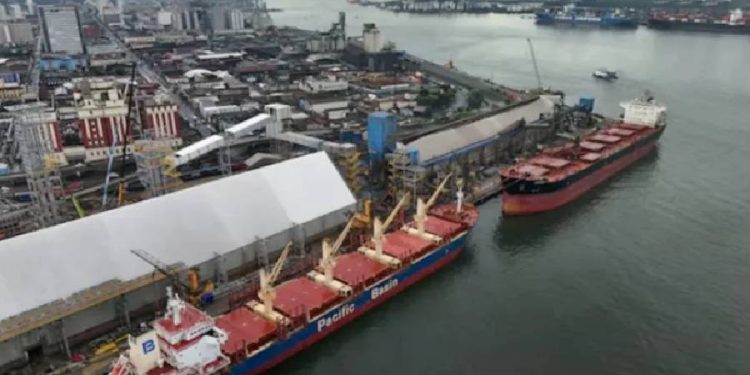 La geopolítica de los granos, la apuesta de China en Brasil