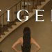 Gucci y Demna: The Tiger, una era narrativa en Milán
