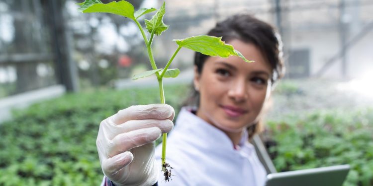 tecnología agrícola