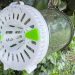 Ornetin UV: una trampa española que captura avispas asiáticas sin químicos