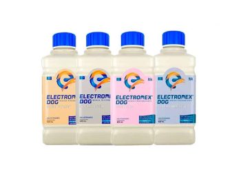 Electrodog la nueva bebida para perros que refleja la humanización animal