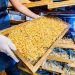 Las Acacias apuesta al mercado uruguayo con pastas caseras y galletas