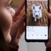 Jóvenes desarrolladores impulsan tecnología solidaria para mascotas perdidas en el milagro