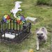 Los servicios funerarios para mascotas crecen más rápido que los humanos