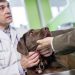 Numelvi marca un hito en la dermatología canina con innovaciones clave