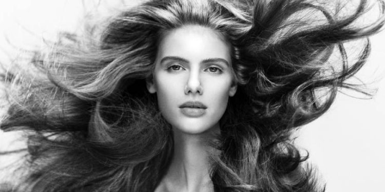 Zara Hair Care: La base del look
